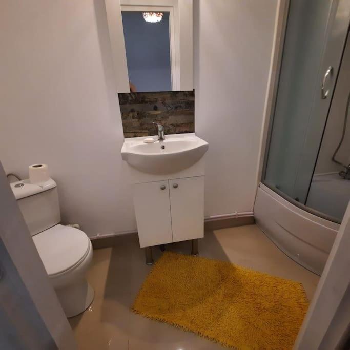 Apartament In Zona Catedralei Mitropolitane Яш Екстериор снимка